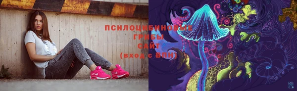 MDMA Няндома