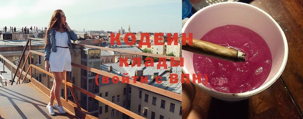 тгк Галич