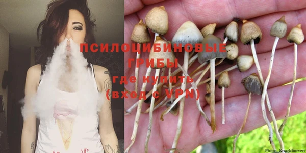 не бодяженный Нязепетровск