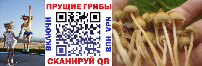 Галлюциногенные грибы мухоморы  hydra tor  сайты даркнета какой сайт  Нижняя Тура 